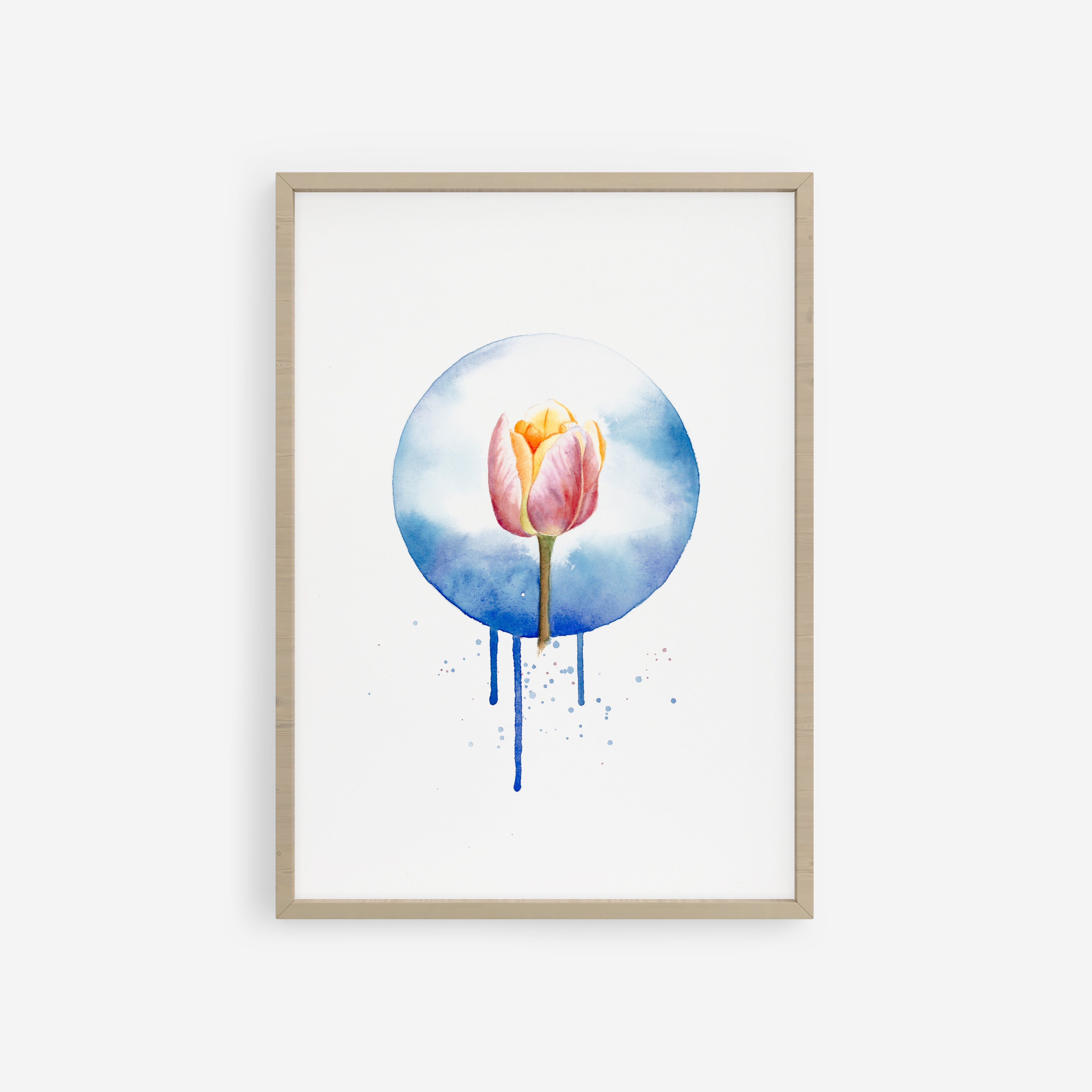 Tulipán rosa y naranja que emerge de una atmosfera etérea azul