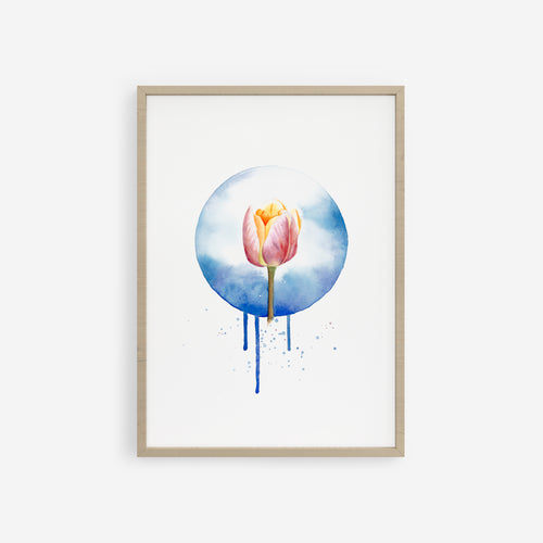 Tulipán rosa y naranja que emerge de una atmosfera etérea azul